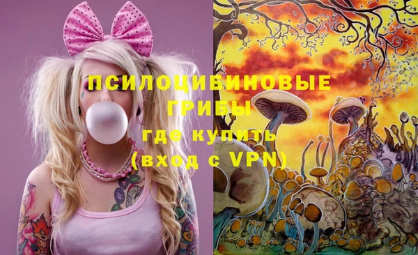 молекула духа Майский