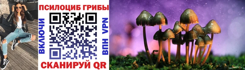 ссылка на мегу tor  Торопец  Галлюциногенные грибы ЛСД  что такое наркотик 