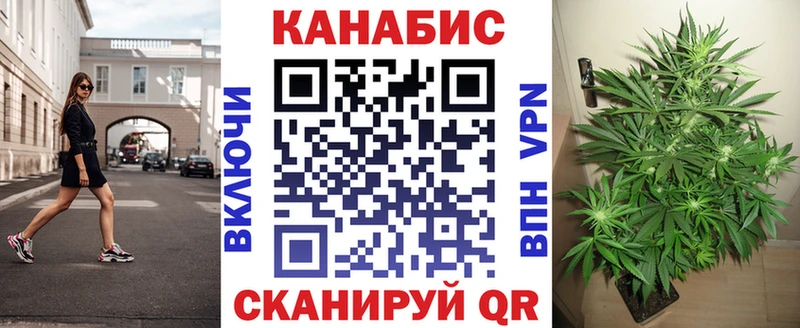 Бошки марихуана THC 21% mega рабочий сайт Торопец
